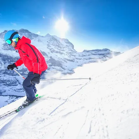 Seewiese Apt- 204 By Interhome * Davos