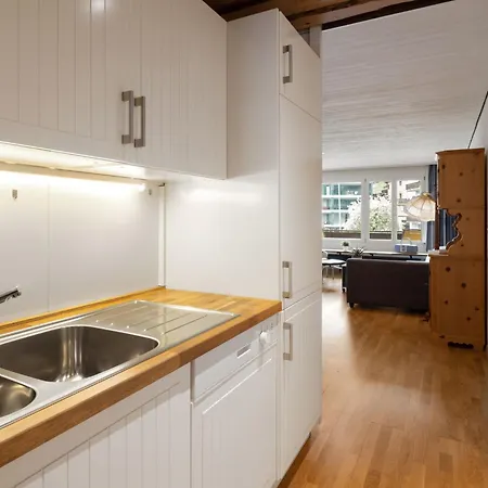 Seewiese Apt- 204 By Interhome 公寓 *