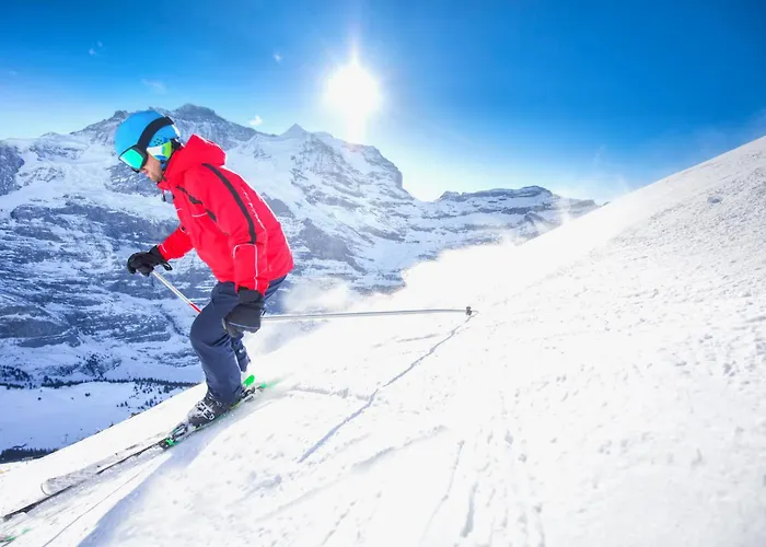 Seewiese Apt- 204 By Interhome * Davos